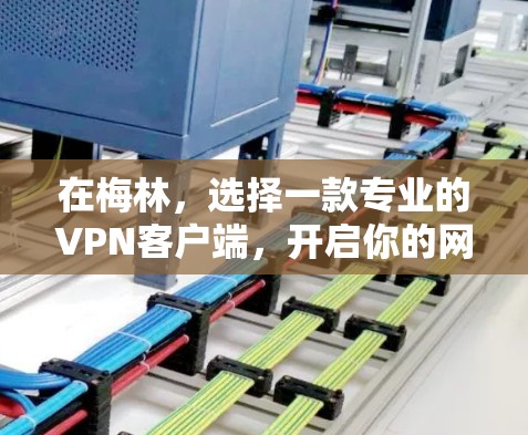在梅林,选择一款专业的VPN客户端,开启你的网络之旅 在梅林,选择一款专业的VPN客户端,开启你的网络之旅