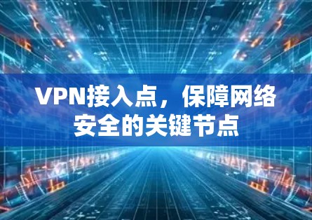 VPN接入点，保障网络安全的关键节点