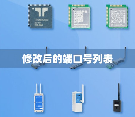 修改后的端口号列表