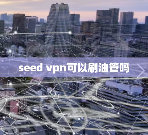 seed vpn可以刷油管吗