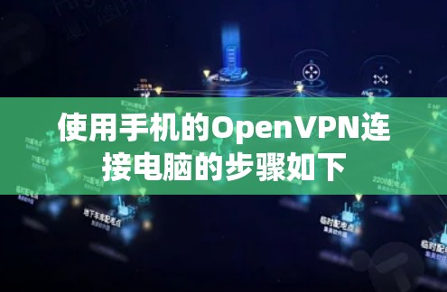 使用手机的OpenVPN连接电脑的步骤如下 使用手机的OpenVPN连接电脑的步骤如下