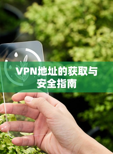 VPN地址的获取与安全指南