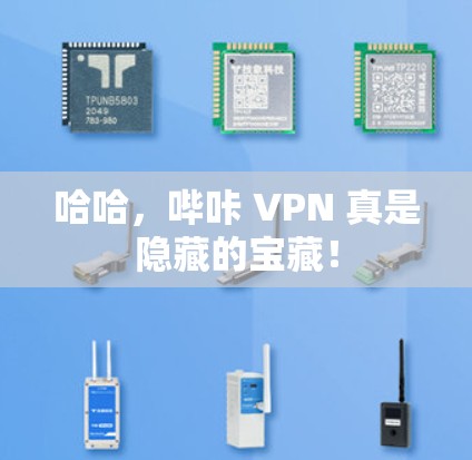 哈哈，哔咔 VPN 真是隐藏的宝藏！