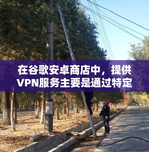 在谷歌安卓商店中，提供VPN服务主要是通过特定的VPN服务网站或应用来实现的。以下是通过安卓商店获取VPN的主要方法和步骤