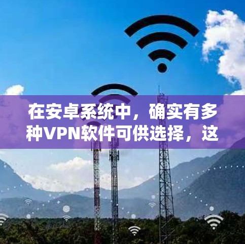 在安卓系统中，确实有多种VPN软件可供选择，这些软件包括网络VPN工具和网络隔离工具。以下是几种主要的安卓VPN软件和工具