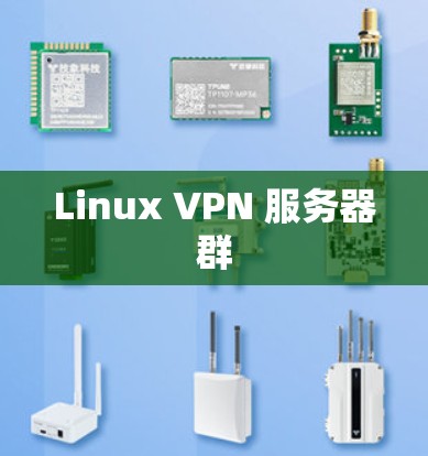 Linux VPN 服务器群 Linux VPN 服务器群
