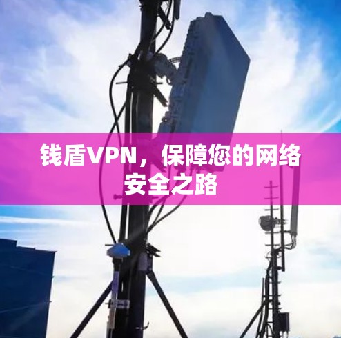 钱盾VPN,保障您的网络安全之路 钱盾VPN,保障您的网络安全之路