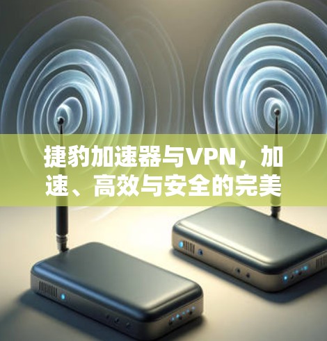 捷豹加速器与VPN，加速、高效与安全的完美组合