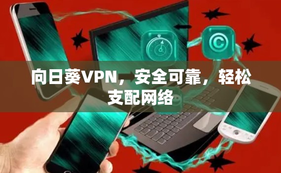 向日葵VPN,安全可靠,轻松支配网络 向日葵VPN,安全可靠,轻松支配网络