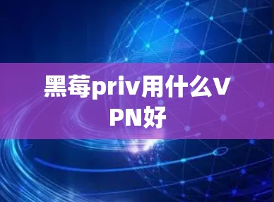 黑莓priv用什么VPN好 黑莓priv用什么VPN好