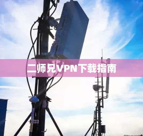 二师兄VPN下载指南 二师兄VPN下载指南