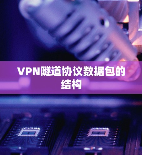 VPN隧道协议数据包的结构 VPN隧道协议数据包的结构
