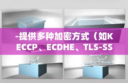 -提供多种加密方式（如KECCP、ECDHE、TLS-SSL）适合个人用户和企业用户
