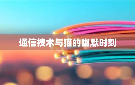 通信技术与猫的幽默时刻 通信技术与猫的幽默时刻