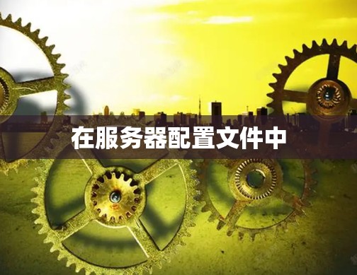 在服务器配置文件中