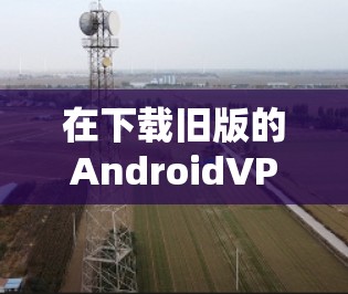 在下载旧版的AndroidVPN应用时，以下是一步步的解决方案