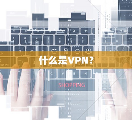 什么是VPN? 什么是VPN?