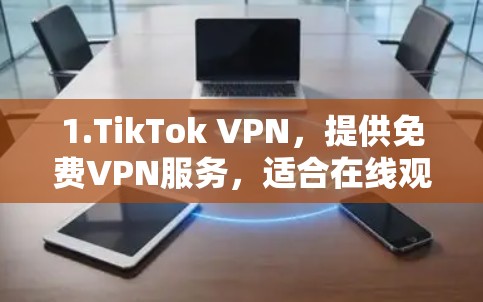 1.TikTok VPN，提供免费VPN服务，适合在线观看视频