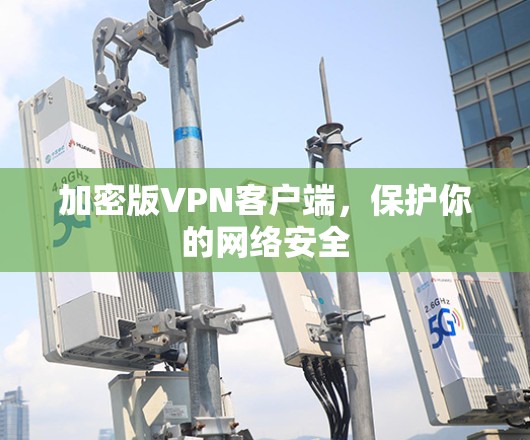 加密版VPN客户端，保护你的网络安全
