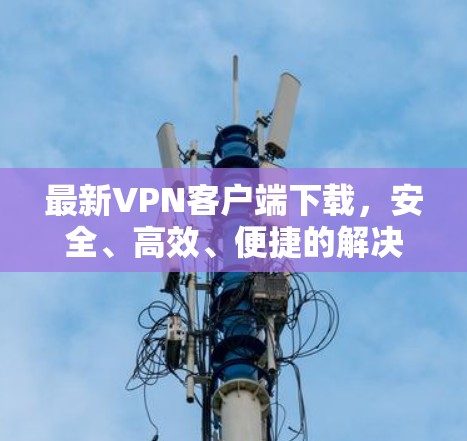 最新VPN客户端下载，安全、高效、便捷的解决方案