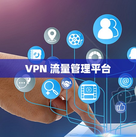 VPN 流量管理平台 VPN 流量管理平台