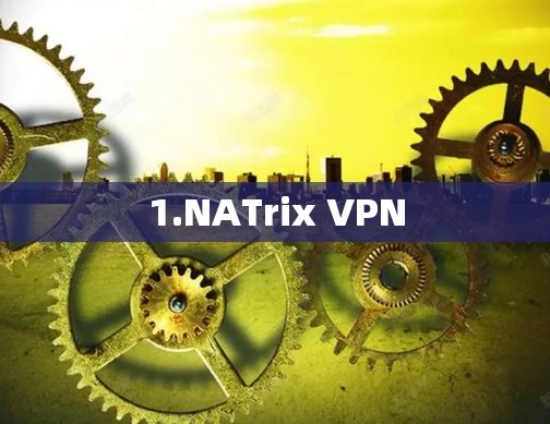 1.NATrix VPN