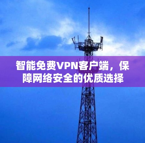 智能免费VPN客户端，保障网络安全的优质选择