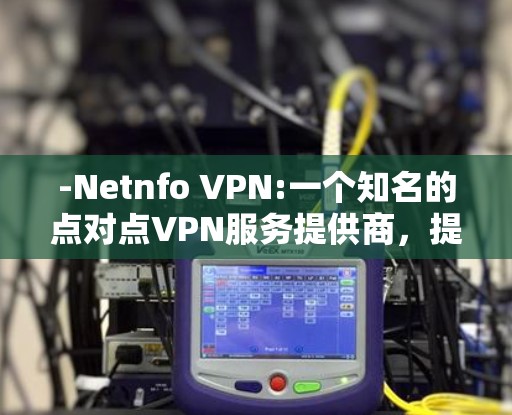 -Netnfo VPN:一个知名的点对点VPN服务提供商，提供多种服务，包括点对点和基于IP的网络连接