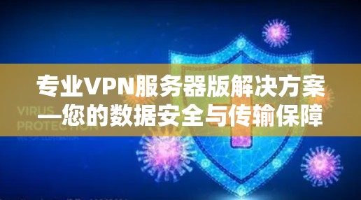 专业VPN服务器版解决方案—您的数据安全与传输保障