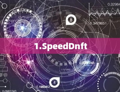 1.SpeedDnft 1.SpeedDnft