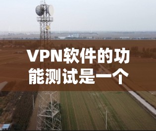 VPN软件的功能测试是一个全面而细致的过程,旨在确保软件在实际应用中的安全性和流畅性。以下是VPN软件功能测试的详细步骤和总结 VPN软件的功能测试是一个全面而细致的过程,旨在确保软件在实际应用中的安全性和流畅性。以下是VPN软件功能测试的详细步骤和总结