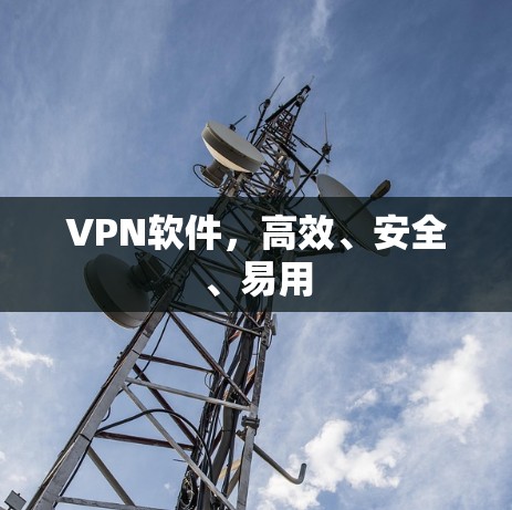 VPN软件,高效、安全、易用 VPN软件,高效、安全、易用