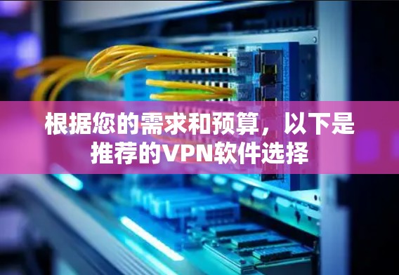 根据您的需求和预算，以下是推荐的VPN软件选择