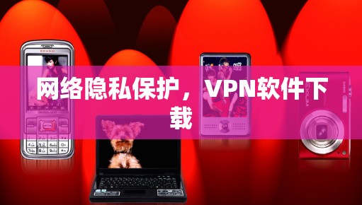 网络隐私保护，VPN软件下载
